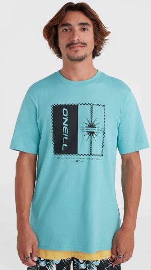 O'Neill Men Mix and Match Palm T-Shirt