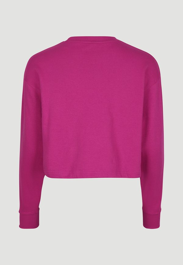 O'Neill Future Sports Sweatshirt