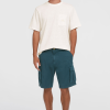 O'Neill Essentials Cargo Shorts - Alma Steel