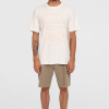 O'Neill Essentials Chino Shorts - Pure Cashmere