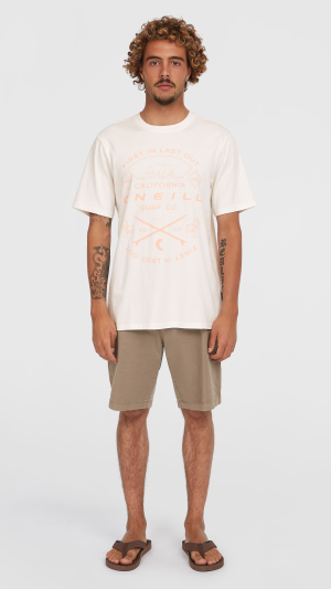 O'Neill Essentials Chino Shorts - Pure Cashmere