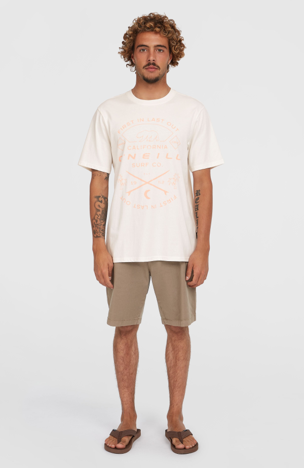 O'Neill Essentials Chino Shorts - Pure Cashmere
