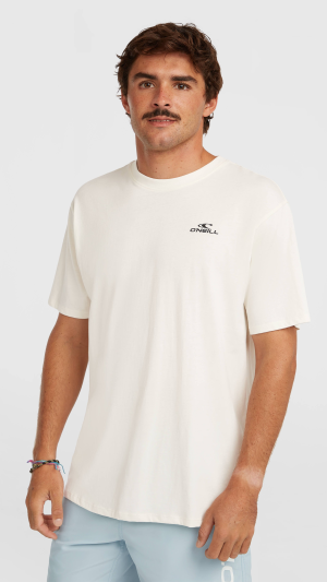 377116f4-3fbd-47c4-95b3-b5f466de3ce2 O'Neill Small Logo T-Shirt-Snow White