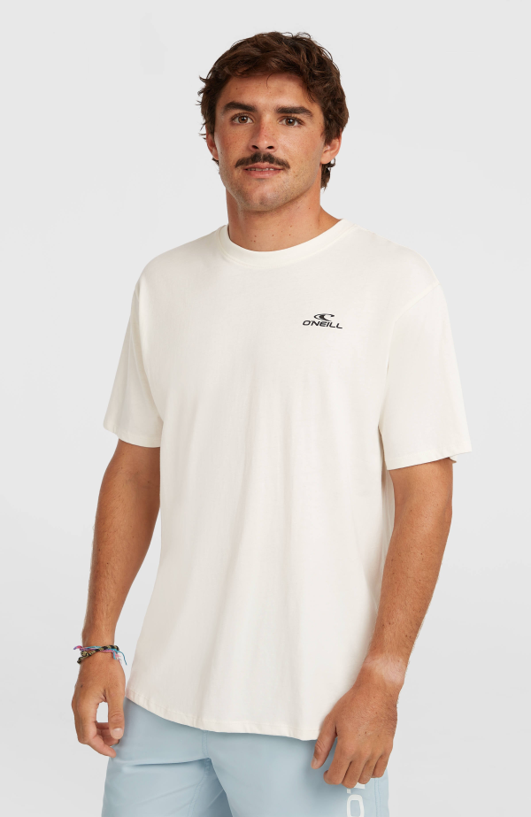 O'Neill Small Logo T-Shirt-Snow White