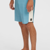O'Neill Hyperfreak Tech Panel 19" Boardshorts - Blue Fade Tech Panel