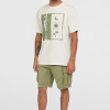 700ee554-c481-4f60-a110-c0469b107058 O'Neill Essentials Cargo Shorts - Avery Fern
