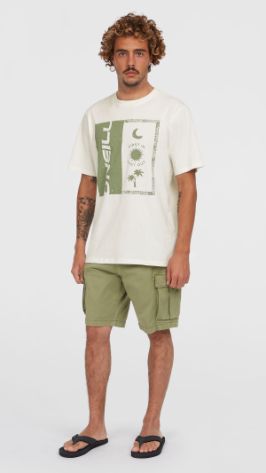 O'Neill Essentials Cargo Shorts - Avery Fern