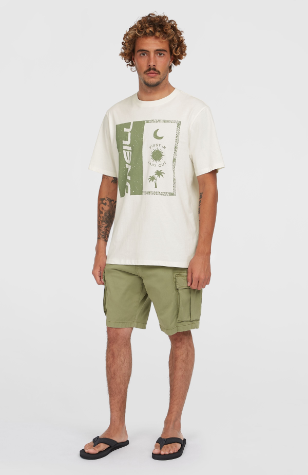 700ee554-c481-4f60-a110-c0469b107058 O'Neill Essentials Cargo Shorts - Avery Fern