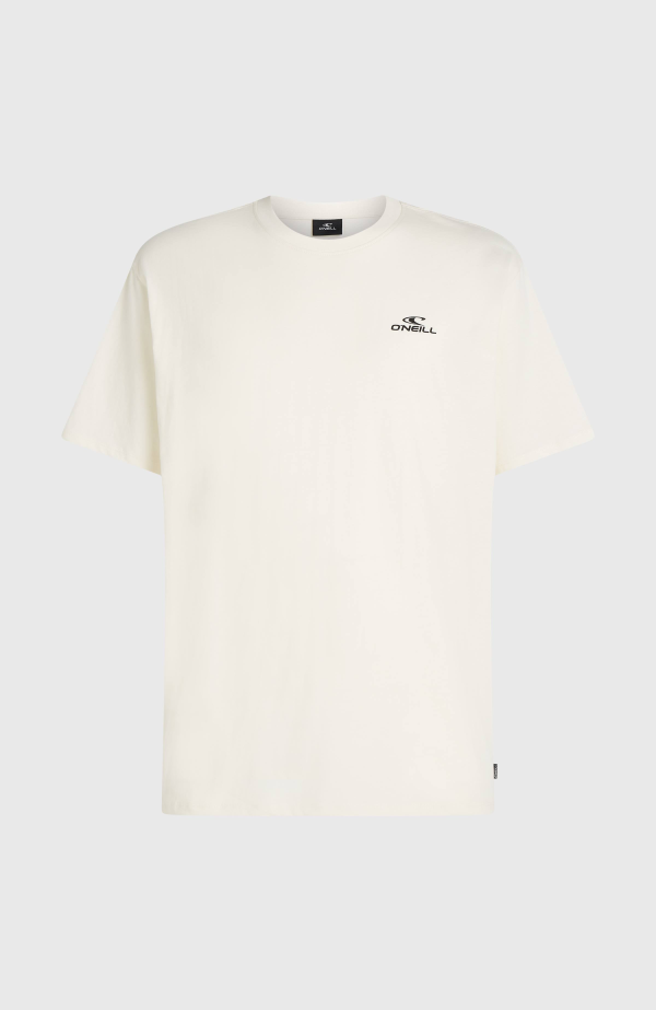 O'Neill Small Logo T-Shirt-Snow White