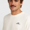 O'Neill Small Logo T-Shirt-Snow White