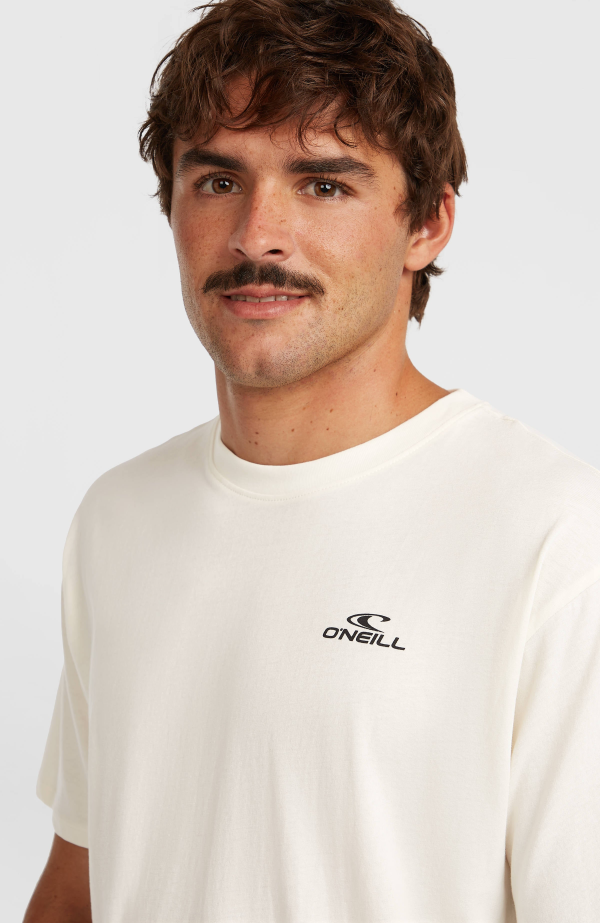 O'Neill Small Logo T-Shirt-Snow White