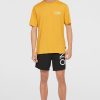 a227ca87-3f86-4ff7-b5ba-f6c944cfe9d4 O'Neill Original Cali 16'' Swim Shorts - Black Out