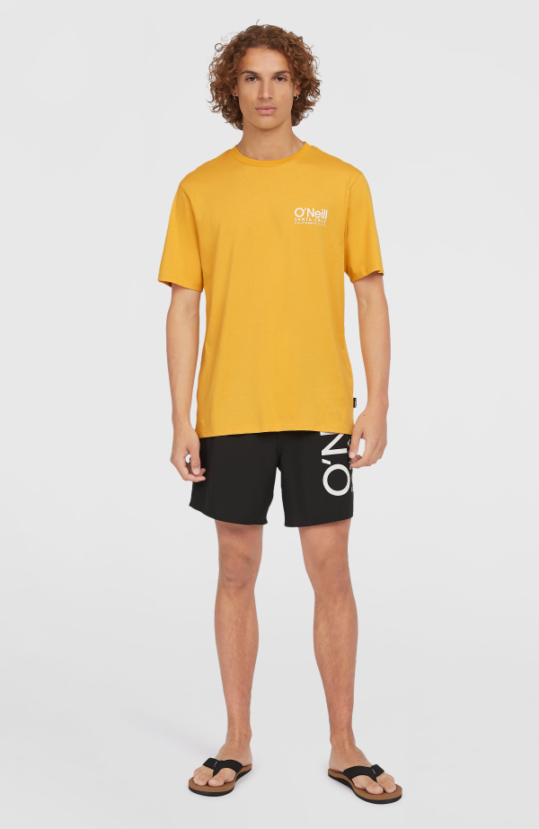 a227ca87-3f86-4ff7-b5ba-f6c944cfe9d4 O'Neill Original Cali 16'' Swim Shorts - Black Out