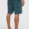 O'Neill Essentials Cargo Shorts - Alma Steel