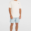 O'Neill Small Logo T-Shirt-Snow White