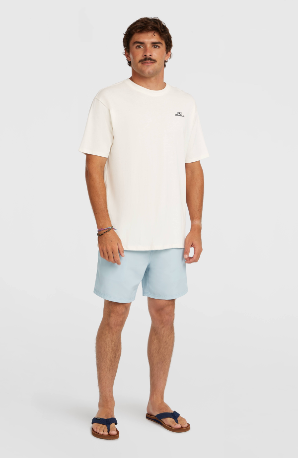 O'Neill Small Logo T-Shirt-Snow White