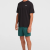 O'Neill Small Logo T-Shirt-Black Out