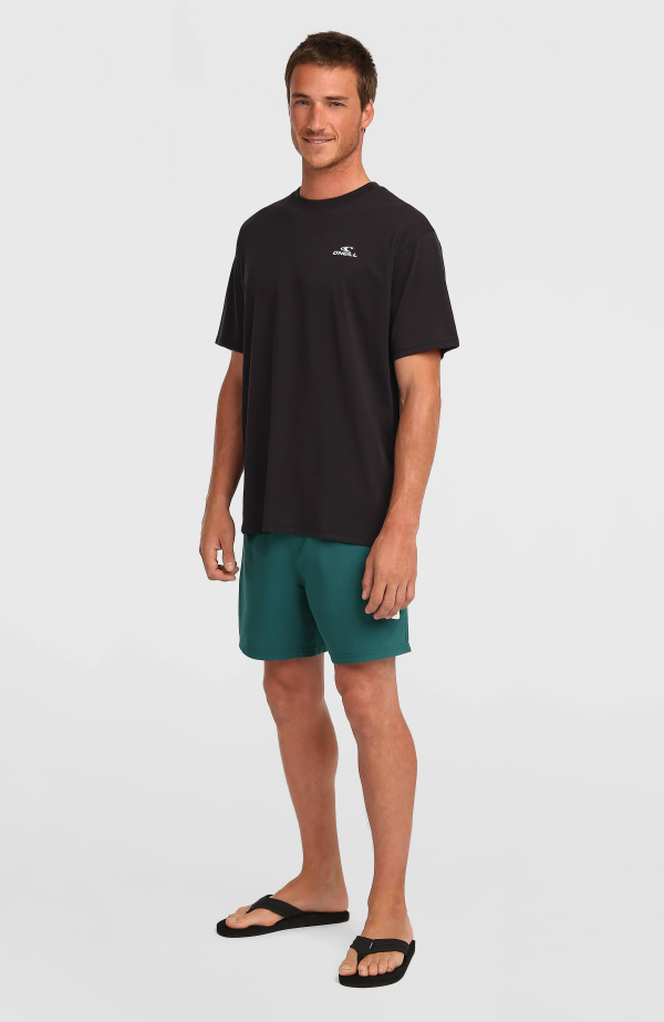 O'Neill Small Logo T-Shirt-Black Out