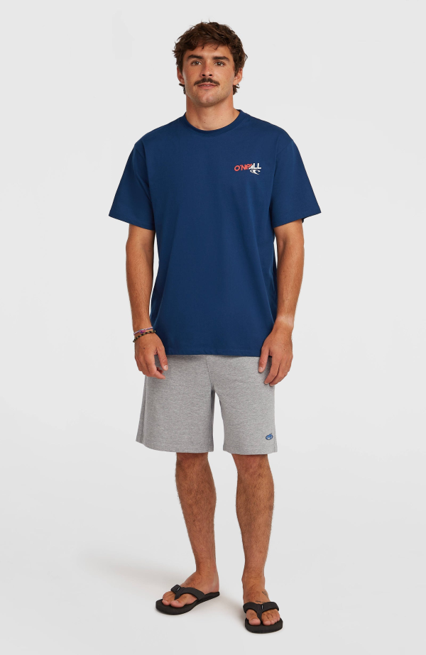 02c85aec-41a0-4cdb-be47-043113760564 O'Neill Essentials 90's Graphic T-shirt - English Evening