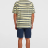 O'Neill O'riginals Cord Shorts - English Evening