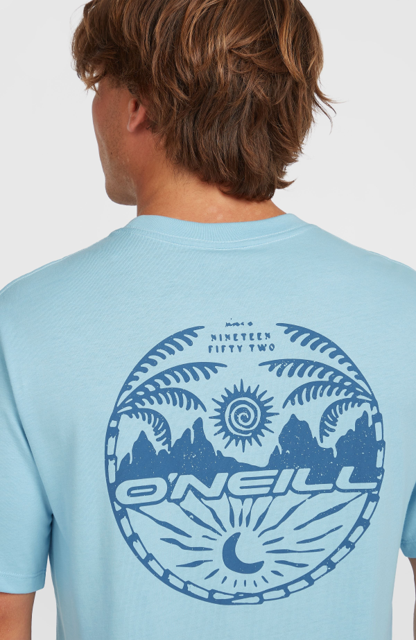 O'Neill Back Print T-shirt - Morning Glory Melange