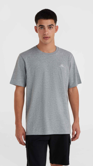2528e45e-37bd-473d-bbca-7e68cb35ab47 O'Neill Logo T-shirt - Silver Melee