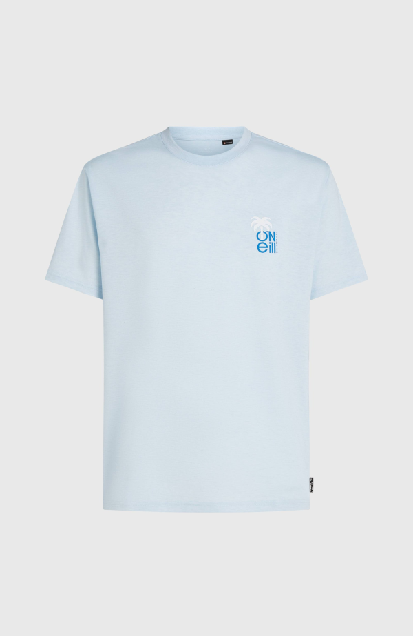 2ac54a42-be95-4bc1-8fa1-d3ac61b29ea9 O'Neill Hybrid Polygiene Graphic T-shirt - Spindle