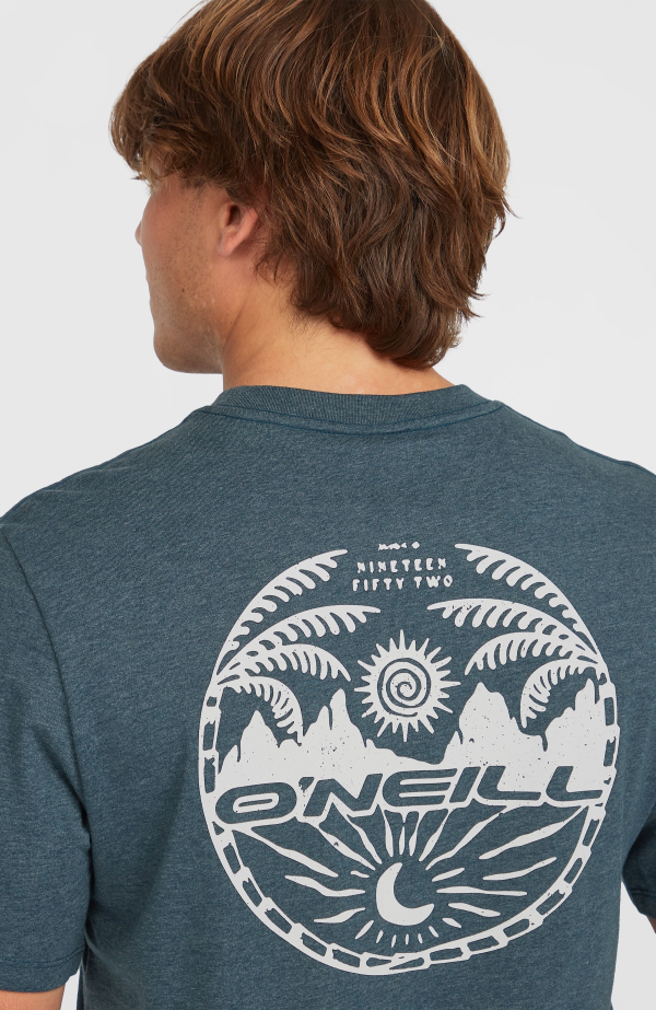 2ce36633-f8c3-4c9a-aa31-12aeb2b0438b O'Neill Back Print T-shirt - Alma Steel Melange