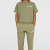 O'Neill the Future Surf Society Sweatpants - Avery Fern