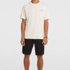 O'Neill Retro Back Print T-shirt - Snow White