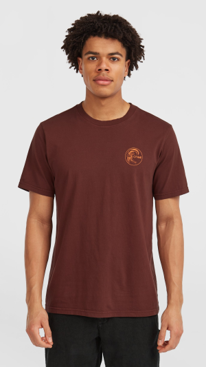 O'Neill O'riginals Retro Back Print T-shirt - Hazel Spice