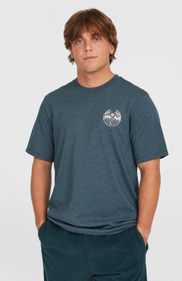 3cb5d6d7-4d01-4b35-8fbd-05f93716b25e O'Neill Back Print T-shirt - Alma Steel Melange