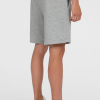 O'Neill the Future Surf Society Shorts - Silver Melee