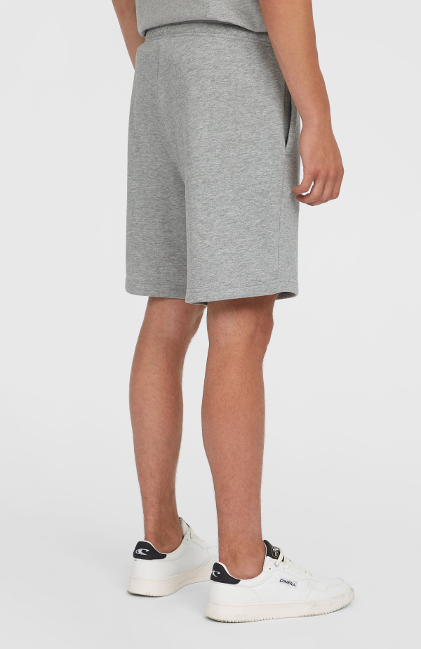 O'Neill the Future Surf Society Shorts - Silver Melee