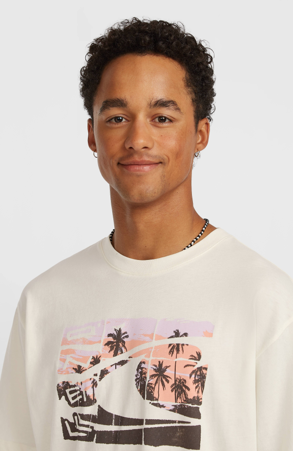 O'Neill Gradient T-shirt - Snow White