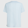491c5850-da52-463c-bbb9-0827d7233526 O'Neill Hybrid Polygiene Graphic T-shirt - Spindle