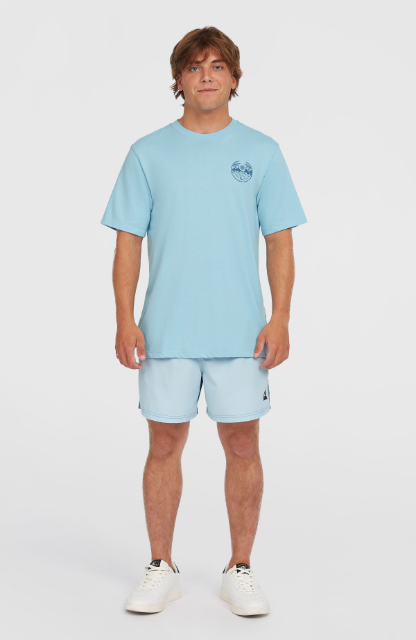 O'Neill Back Print T-shirt - Morning Glory Melange