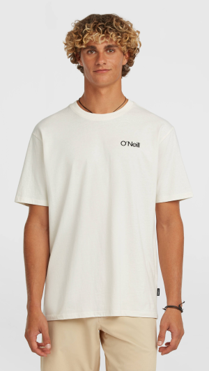 52e30fdb-eb50-40a0-b9b6-c2d42b420c1b O'Neill Polygiene Cotton Graphic T-shirt - Snow White