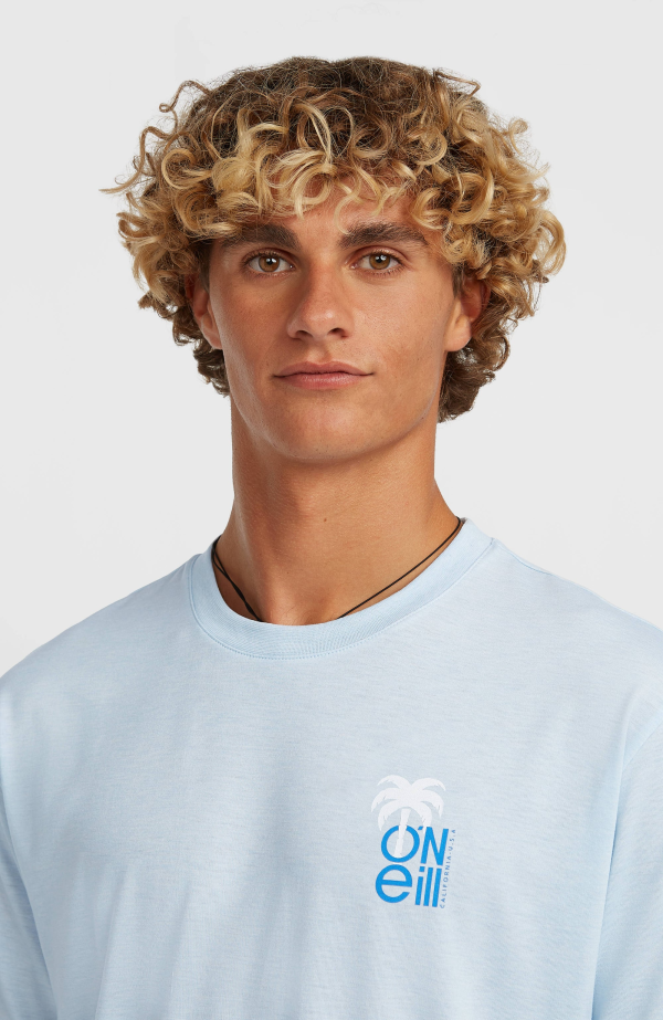 5b8bf3e6-dec3-4709-9f4b-0ea76d32b565 O'Neill Hybrid Polygiene Graphic T-shirt - Spindle