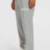 O'Neill the Future Surf Society Sweatpants - Silver Melee