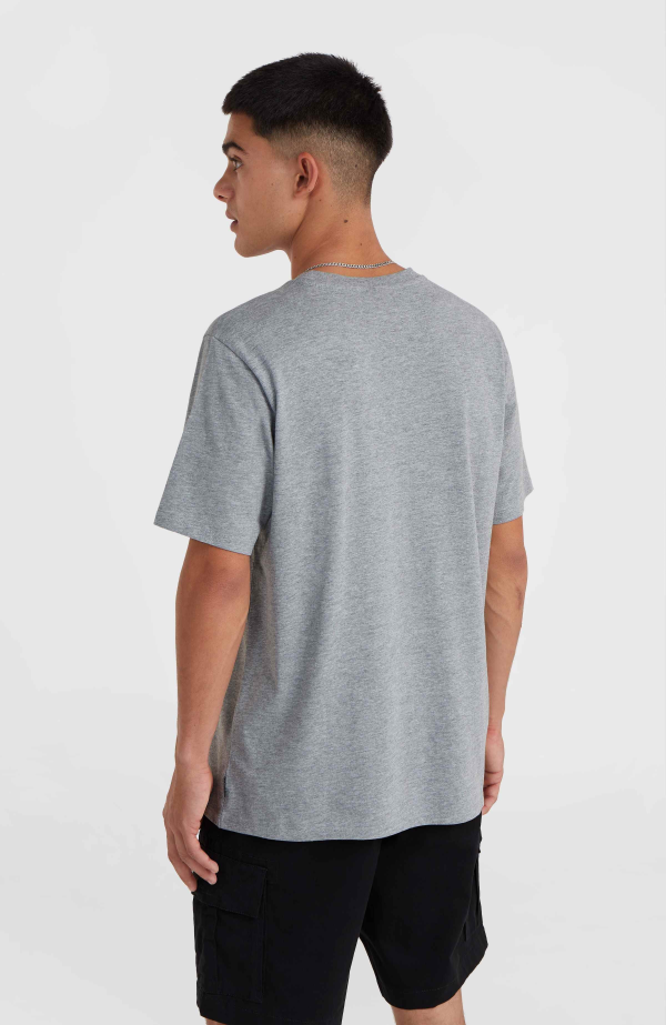 O'Neill Logo T-shirt - Silver Melee