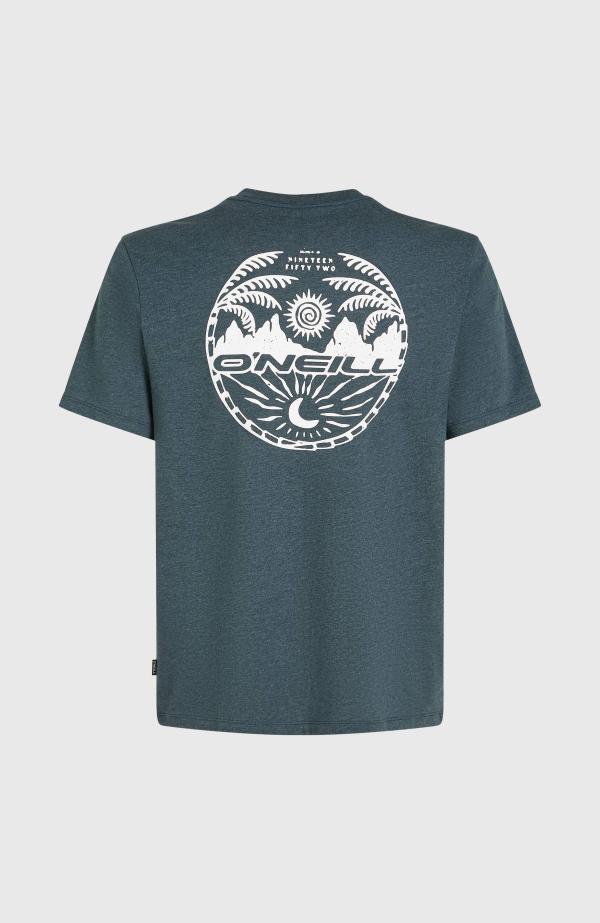 7497968a-de86-4d9e-a45e-6559d4a69bb6 O'Neill Back Print T-shirt - Alma Steel Melange
