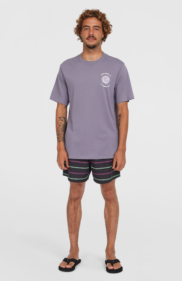 763eff89-a509-4102-bf61-bcfcf40318f4 O'Neill Photo Print T-shirt - Storm