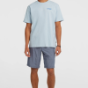 76a22075-cf7c-46ba-a777-79c1eb53735d O'Neill Polygiene Cotton Graphic T-shirt - Spindle