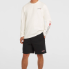 O'Neill Essentials 90s Logo Long-sleeve T-shirt - Snow White