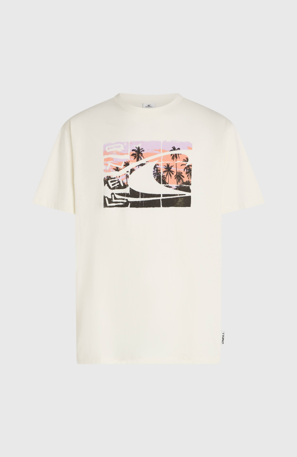 O'Neill Gradient T-shirt - Snow White