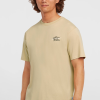 8b91dca3-f685-4d2d-bb54-8392f7c58d3b O'Neill Retro Back Print T-shirt - Cocoa Sand