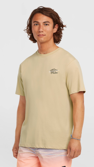 8b91dca3-f685-4d2d-bb54-8392f7c58d3b O'Neill Retro Back Print T-shirt - Cocoa Sand