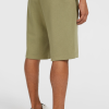 O'Neill the Future Surf Society Shorts - Avery Fern