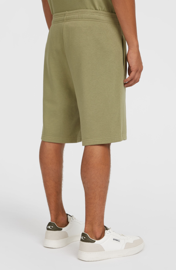 O'Neill the Future Surf Society Shorts - Avery Fern